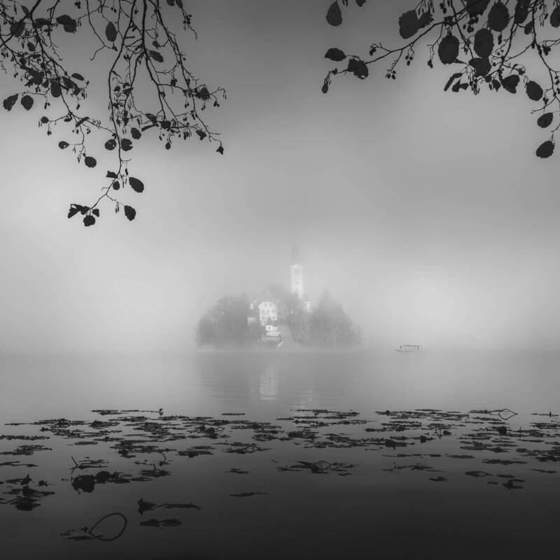 Suspended фото превью