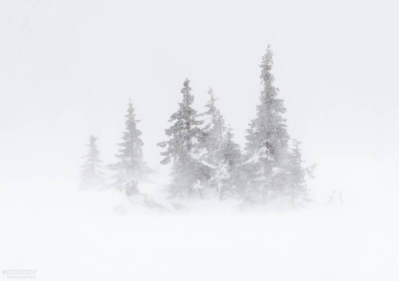 таганай, южный урал, метель, снег Белый плен фото превью