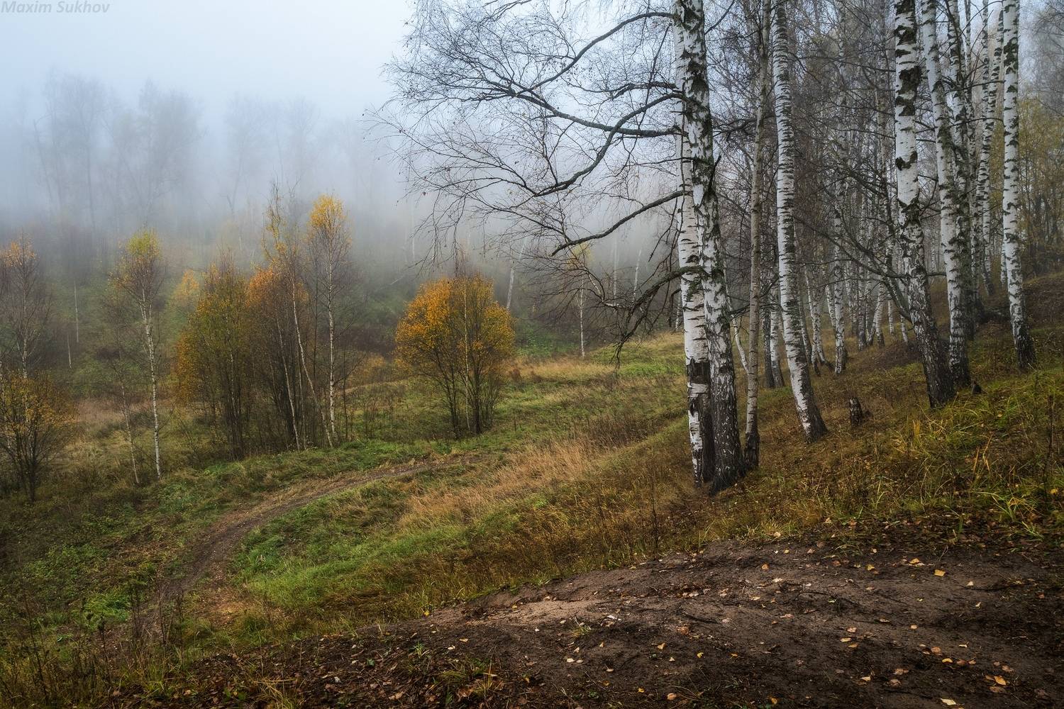 осень, вязники, камзяки, Максим Сухов