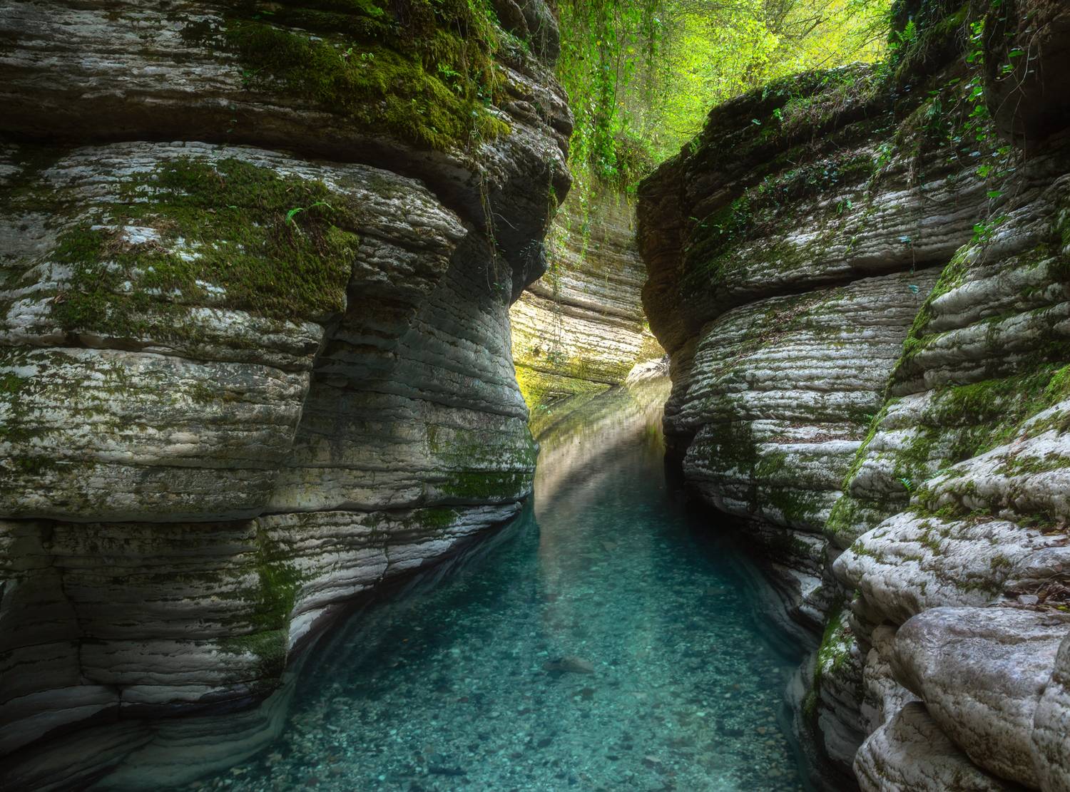 лес, скалы, река, горы, абхазия, Растворов Игорь