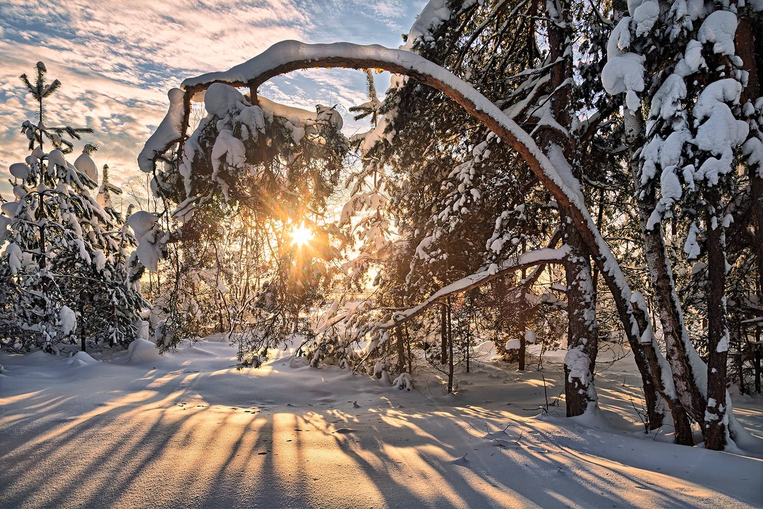 , Евгений Ерохин