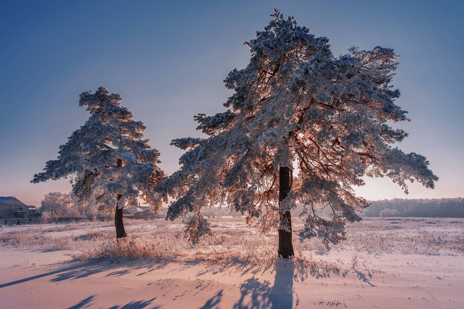 , Владимир Ноздрачев