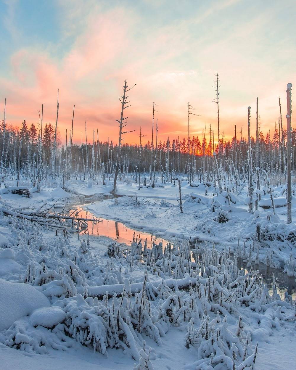 , Петр Косых