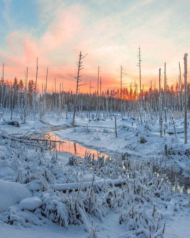 Зимнее болото фото превью