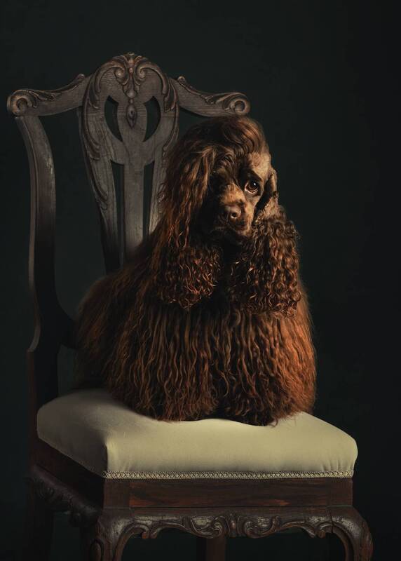 Mako фото превью