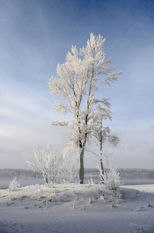 Зима сибирская фото превью