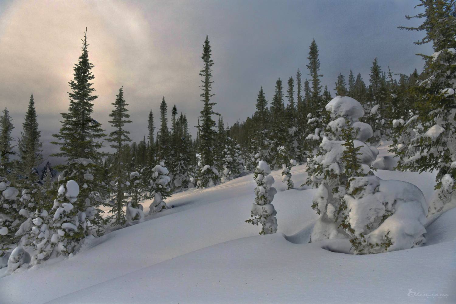 , Крат Светлана