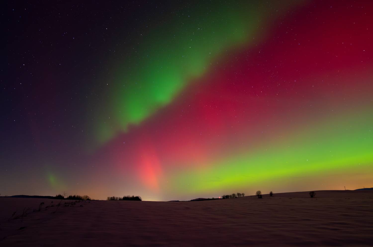 ,  Mirosław Pruchnicki