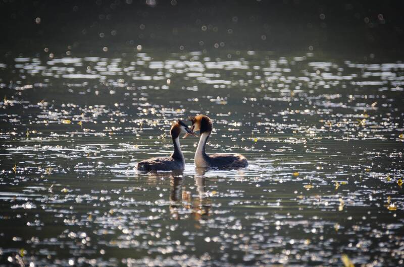 Утро для двоих фото превью