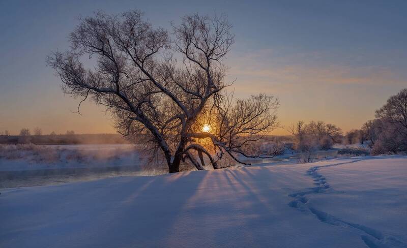 ... фото превью