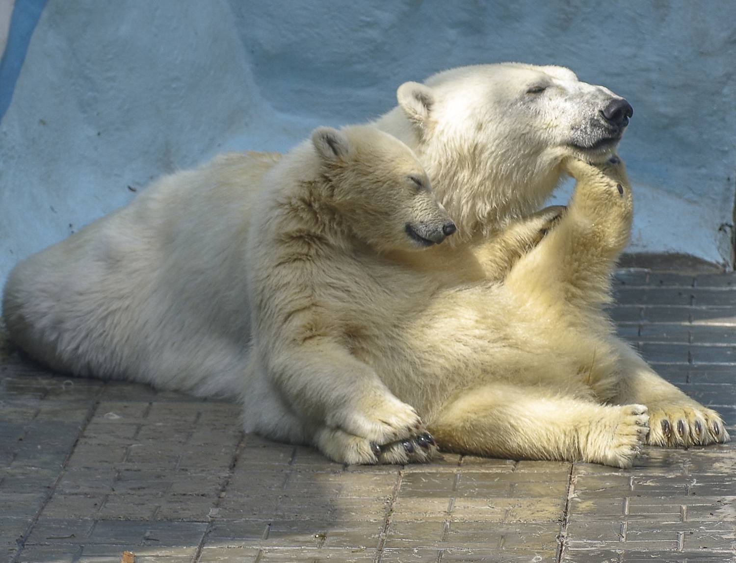 , Михаил Измайлов