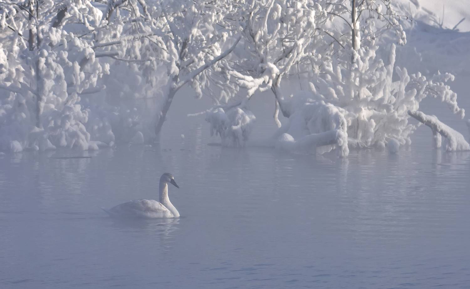 , Макеев Алексей