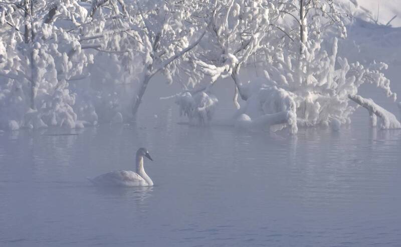 ... фото превью
