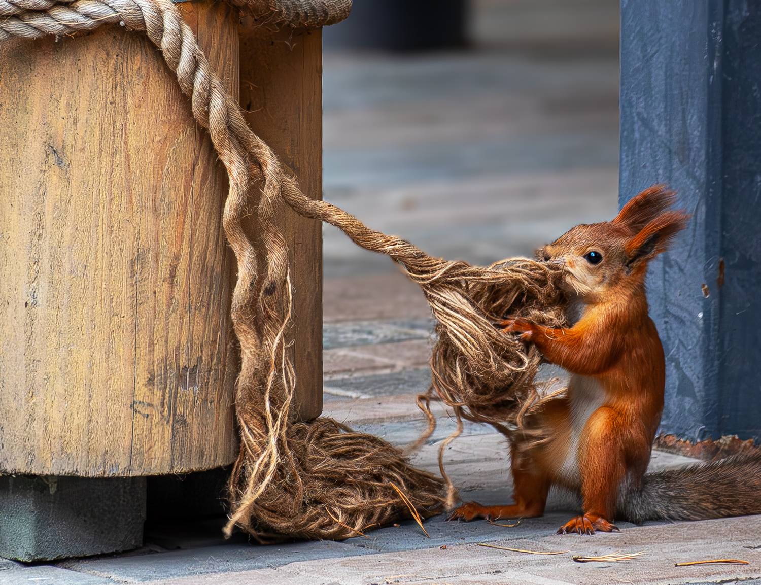 , Михаил Измайлов