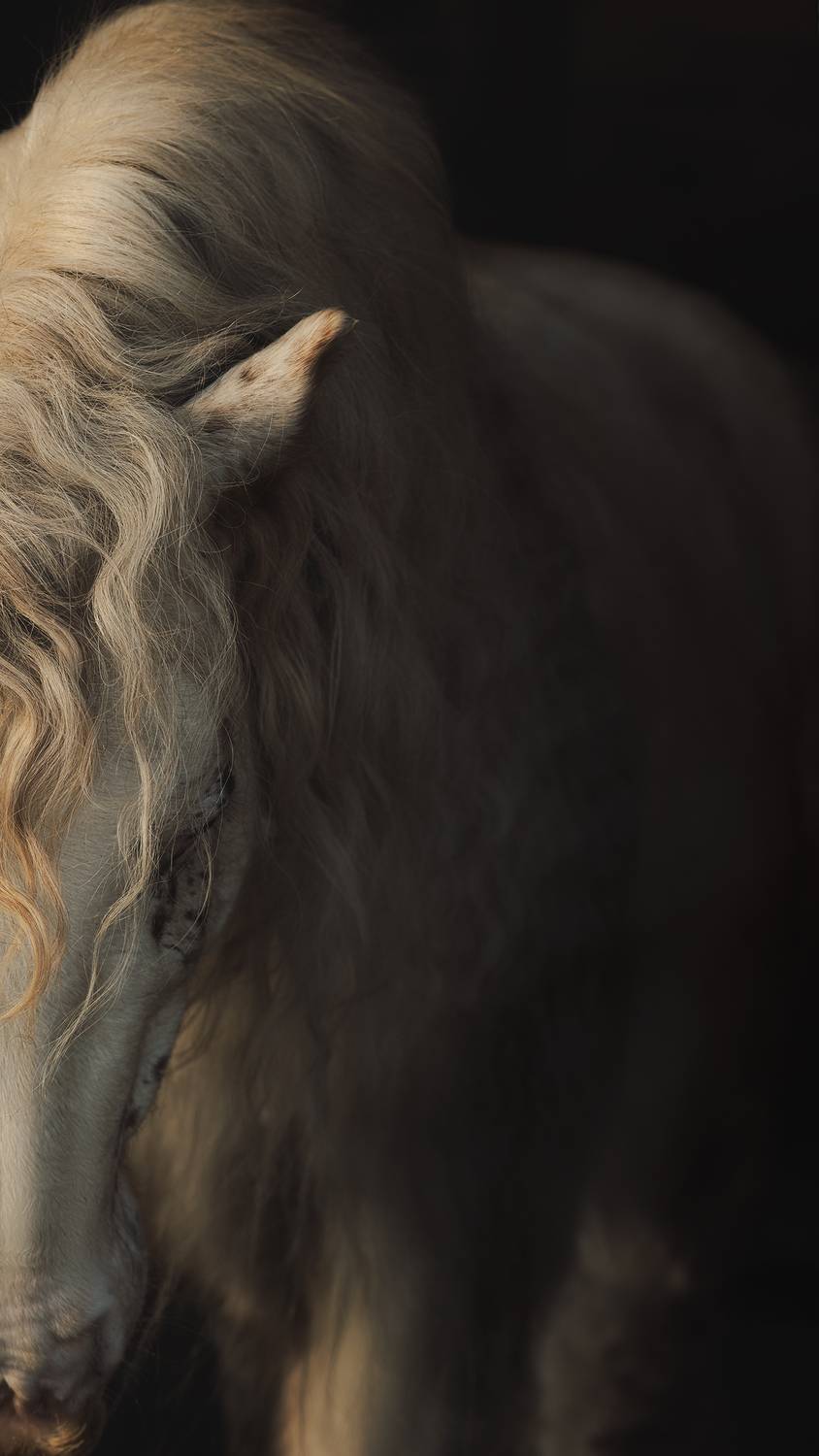 , Калинина Анна