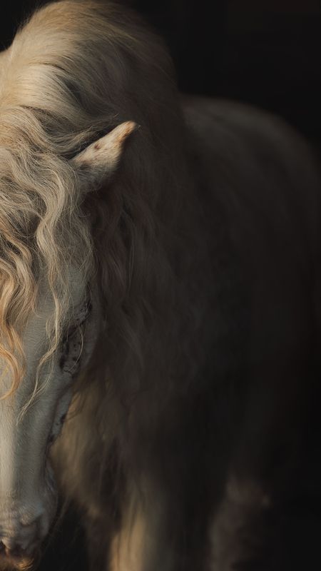 Lorenzo фото превью