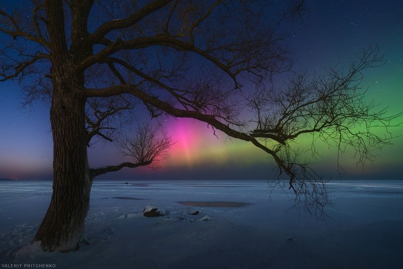 Северное сияние над замерзшим Куршским заливом фото превью