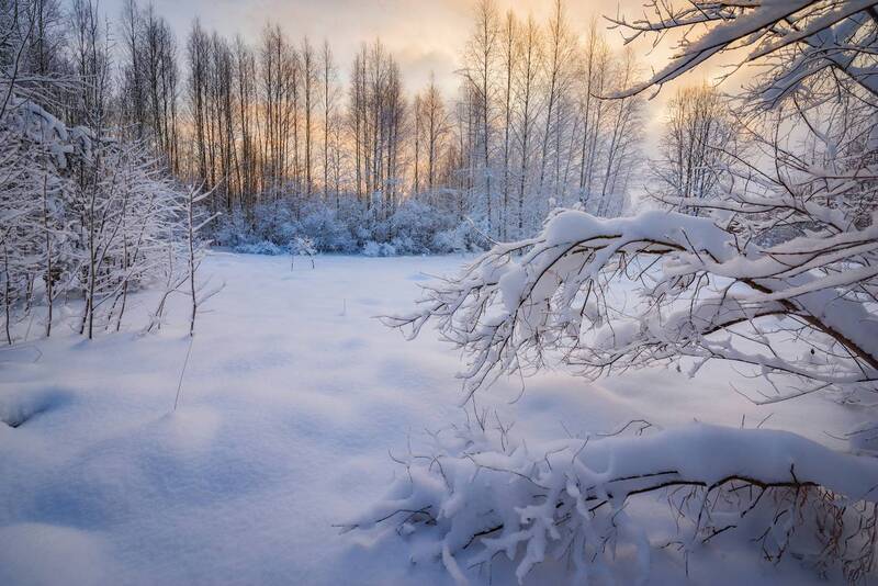 Пушистая зима фото превью