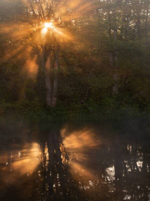 река, рассвет, туман, природа, утро Утро на реке фото превью