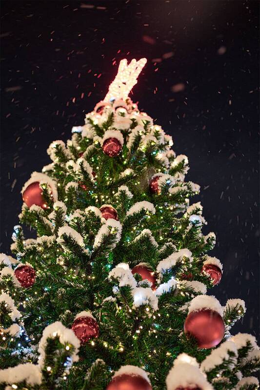 Ёлка фото превью