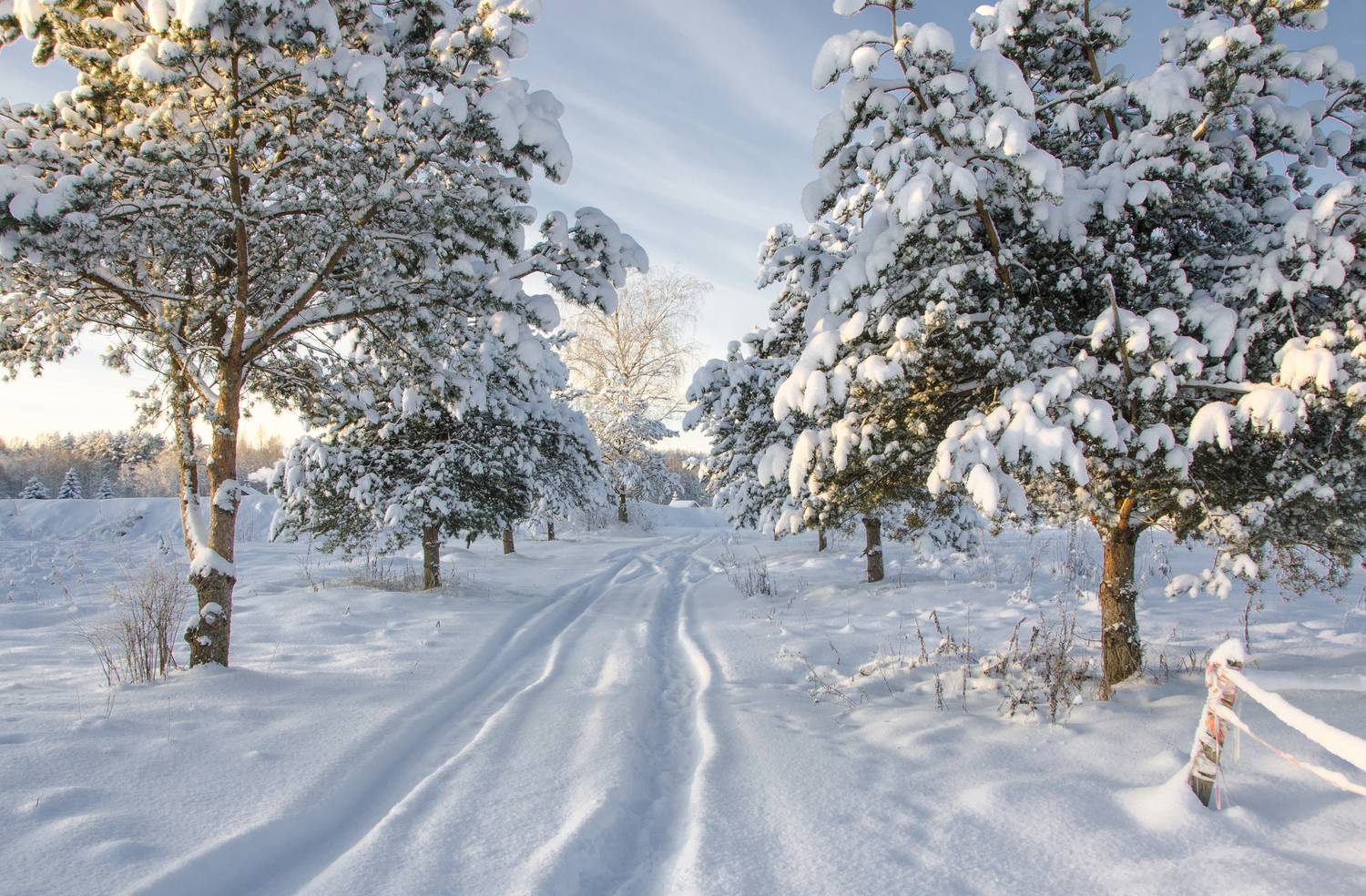 , Алексей Алешин