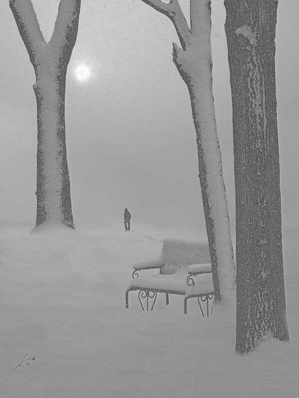 Хмурое утро фото превью