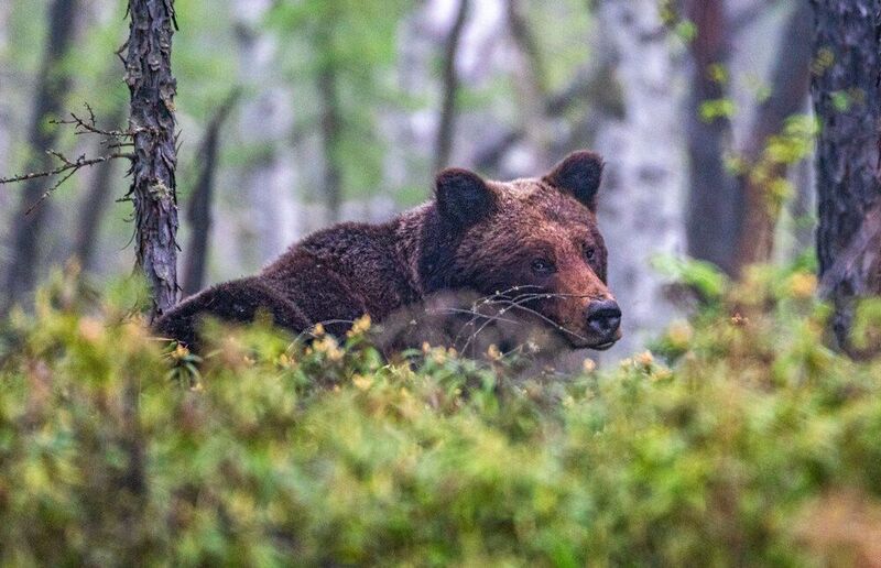 Встреча фото превью