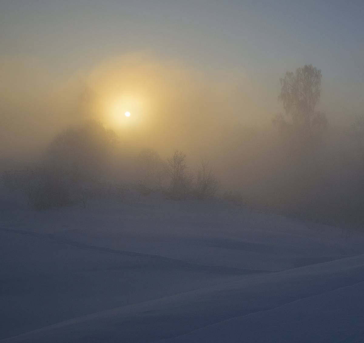 утро, рассвет, зима, истра, Михаил Агеев
