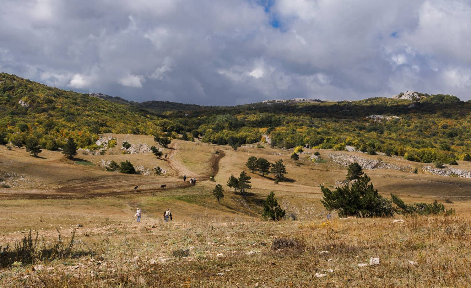 , Лысенко Сергей