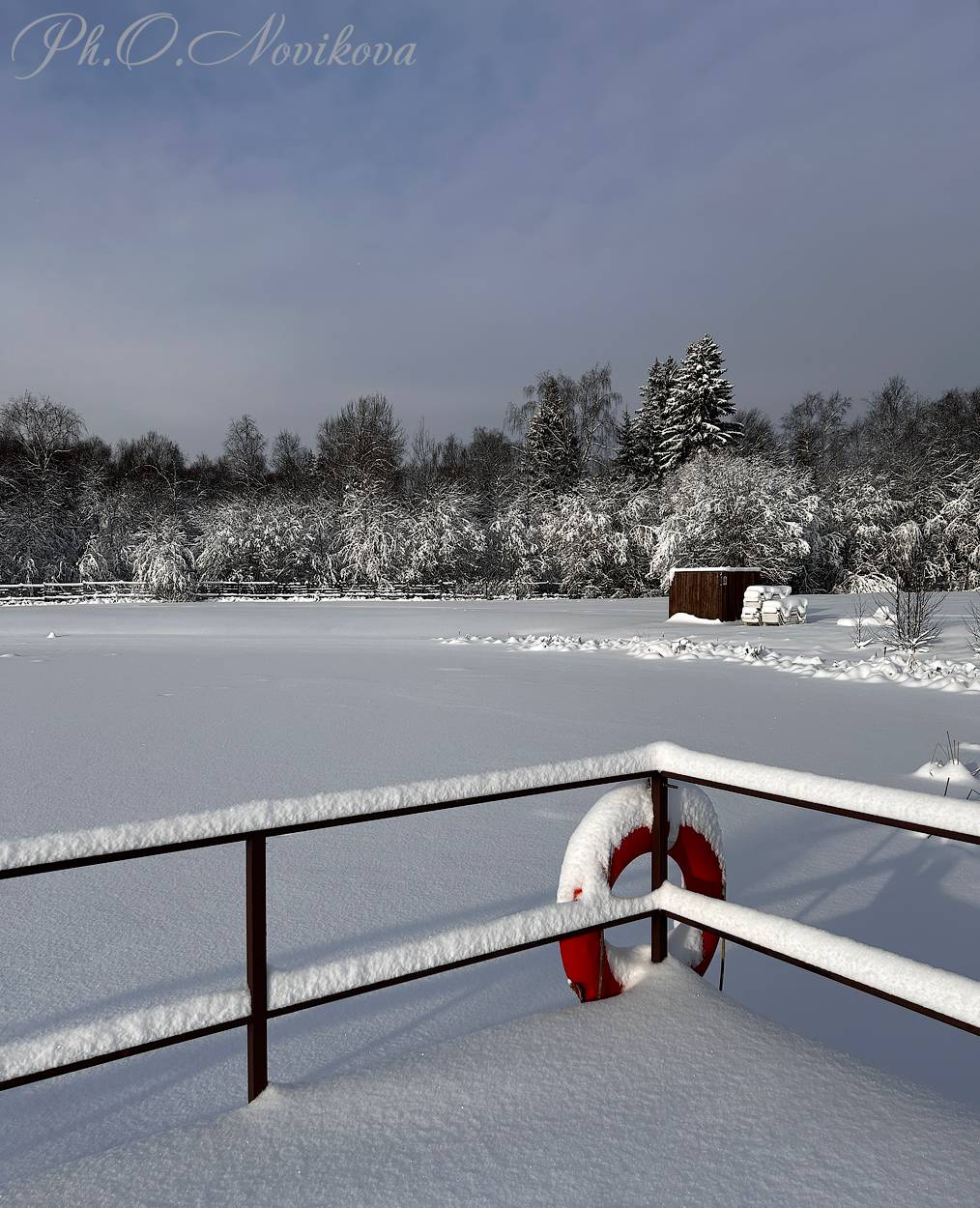 , Новикова Ольга