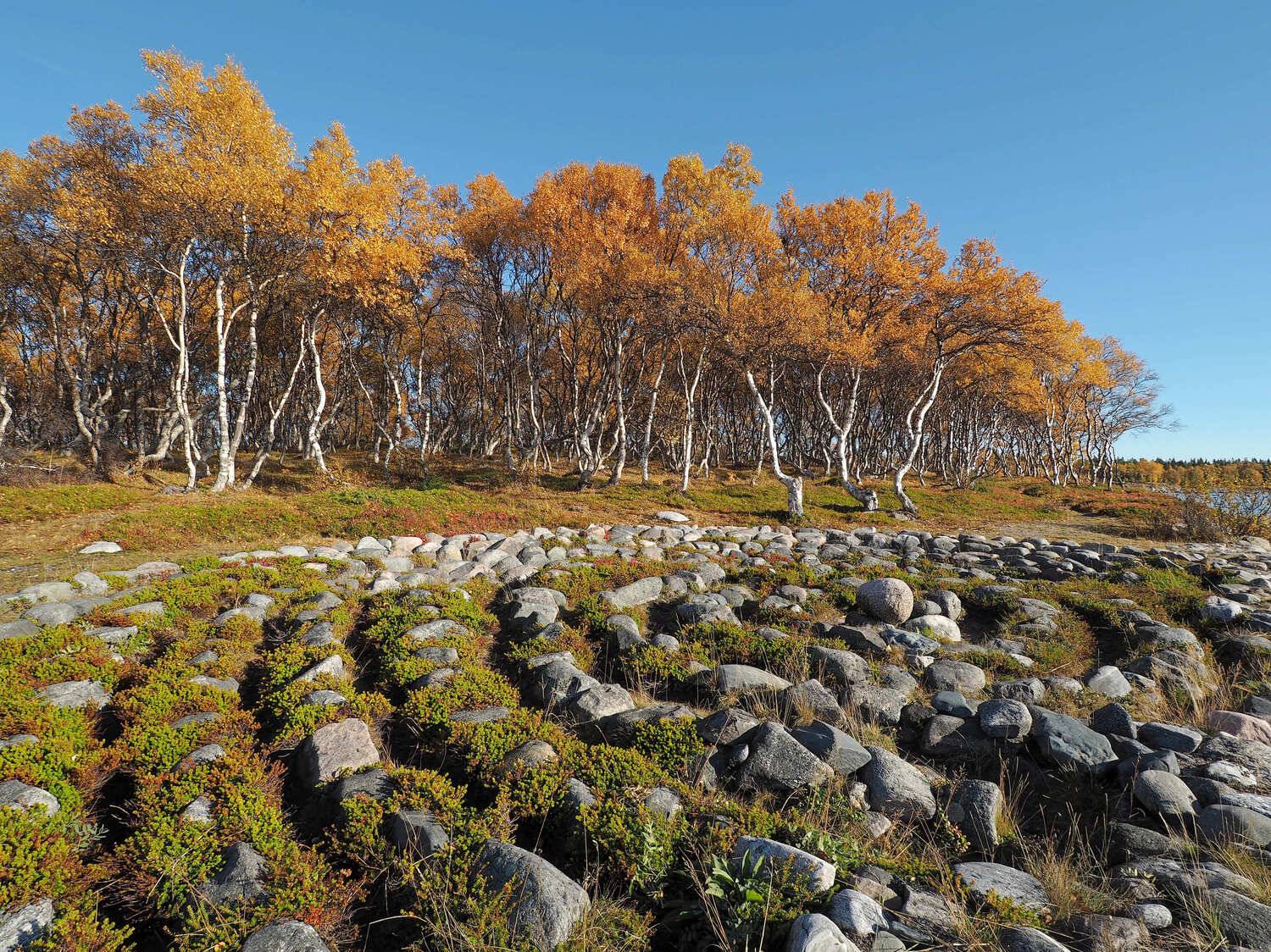 , Яковлев Евгений