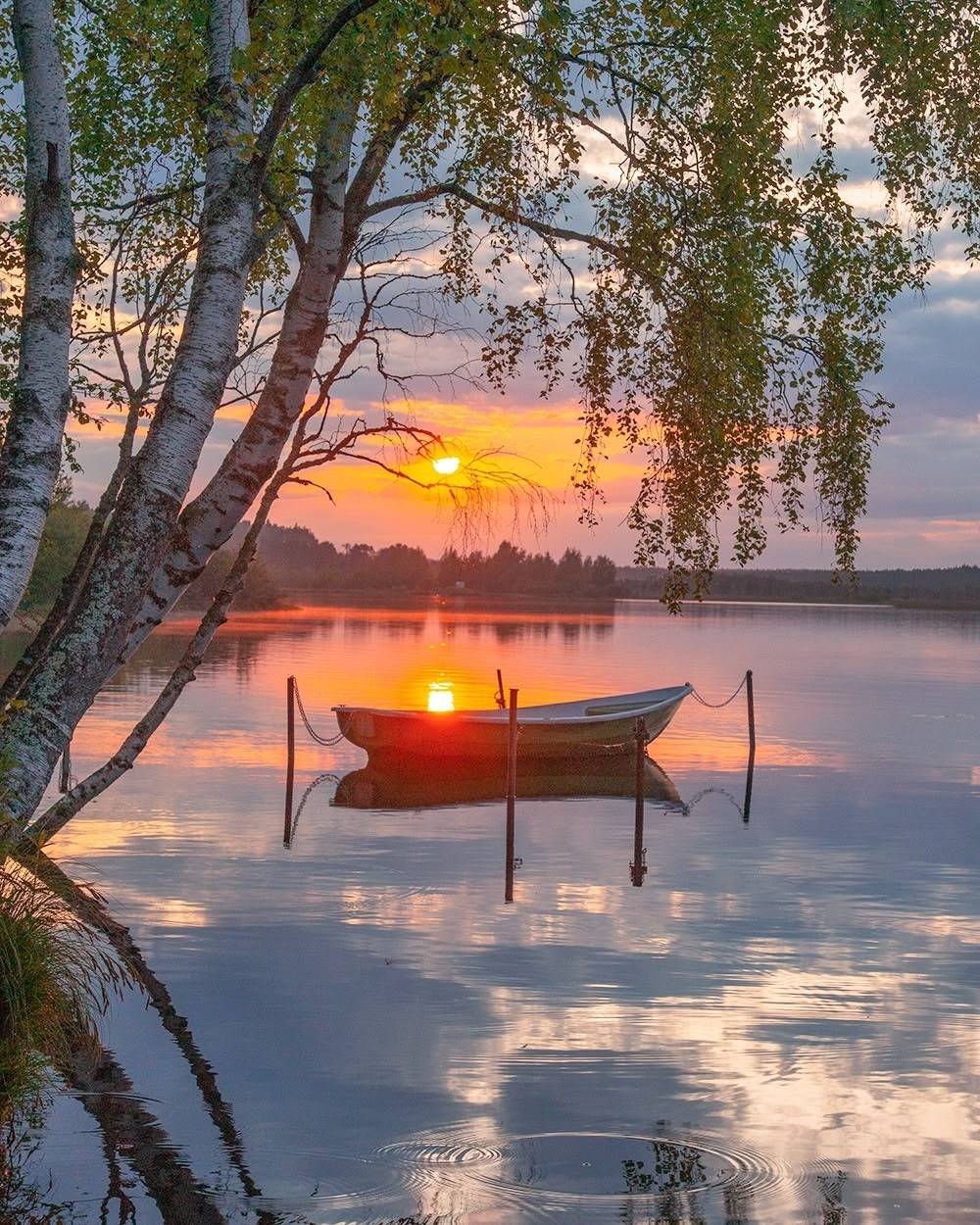 , Петр Косых