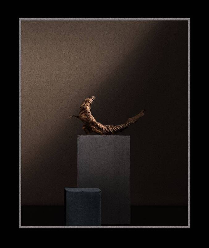 opus № ... фото превью