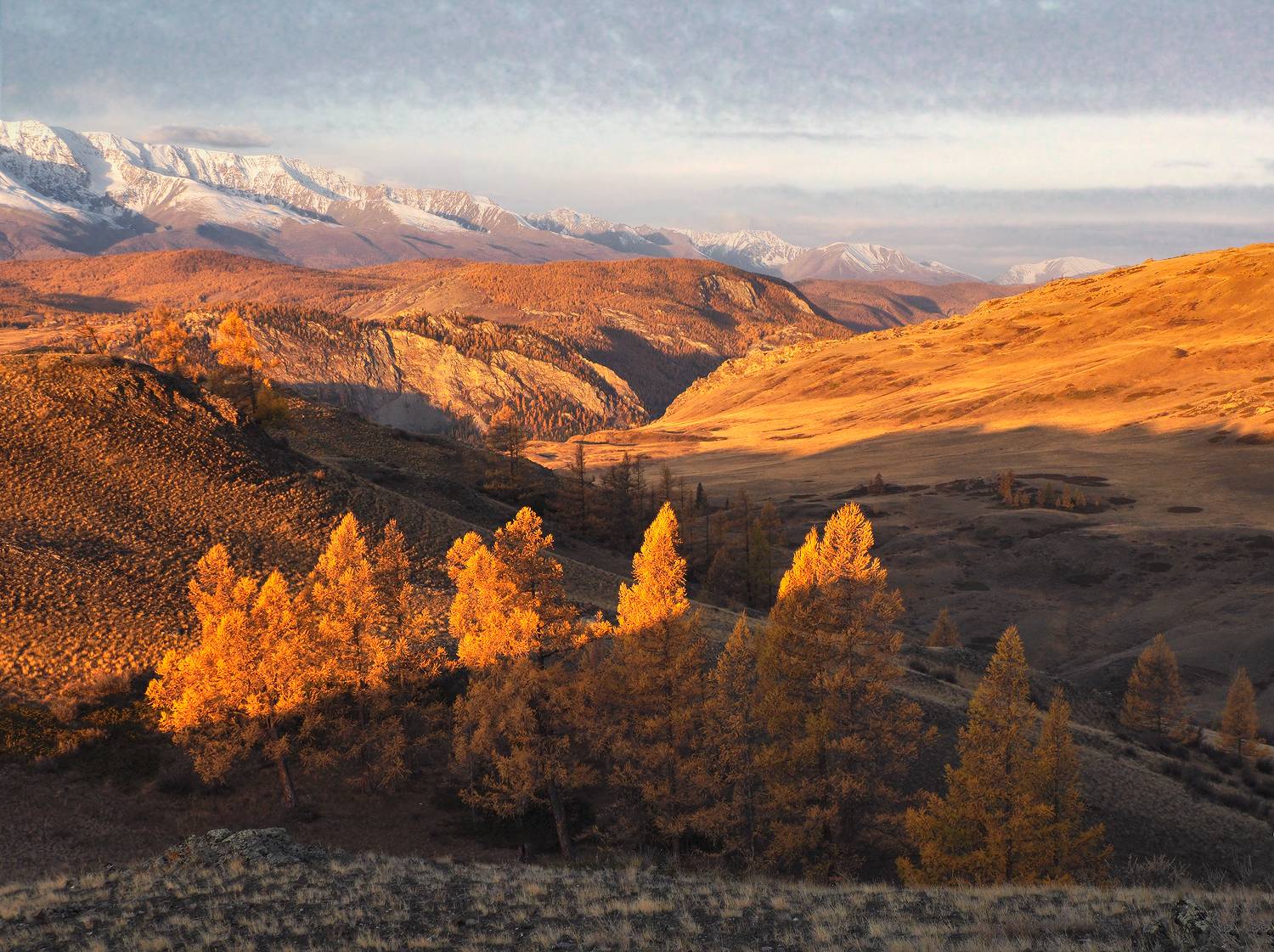 , Галина Хвостенко