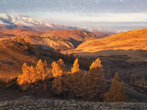 Рассвет над Кураем