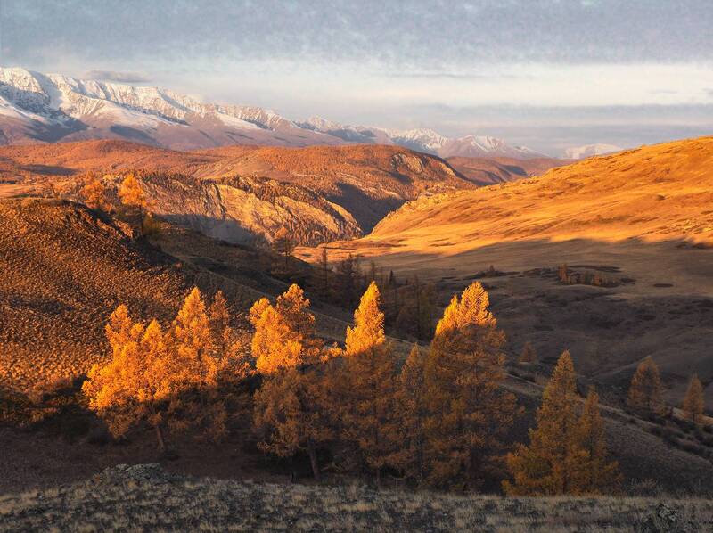 Утро фото превью