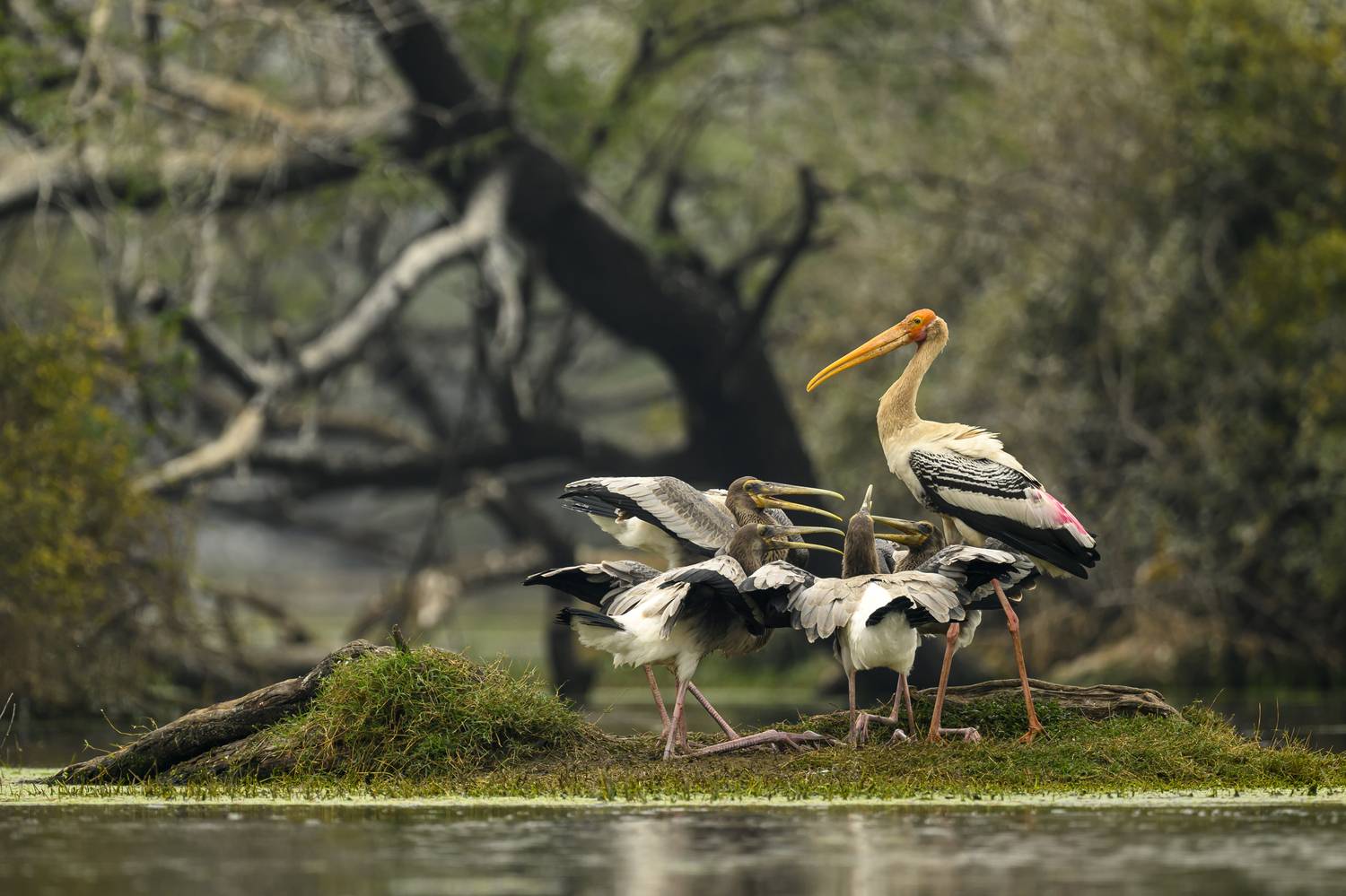 , Пупонин Сергей