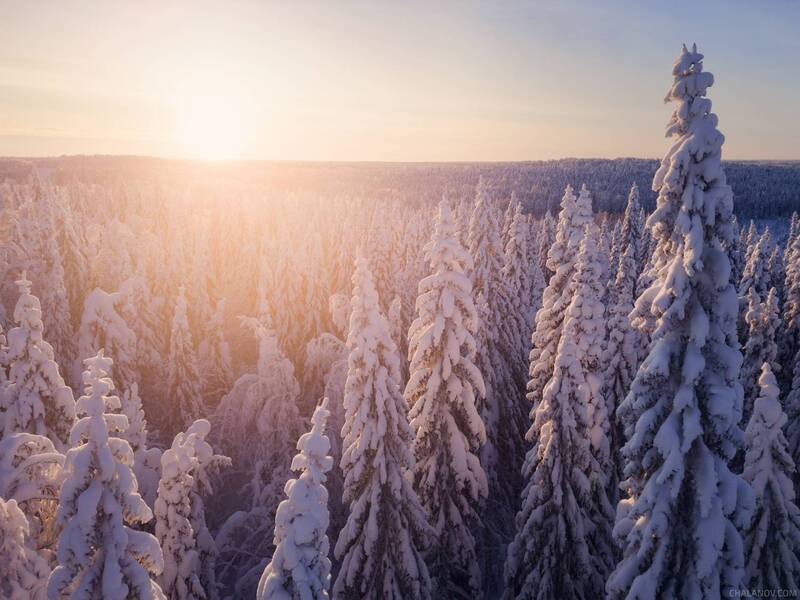 пейзаж, дрон, зима, закат, мороз, снег, тайга, ели Морозная парма фото превью