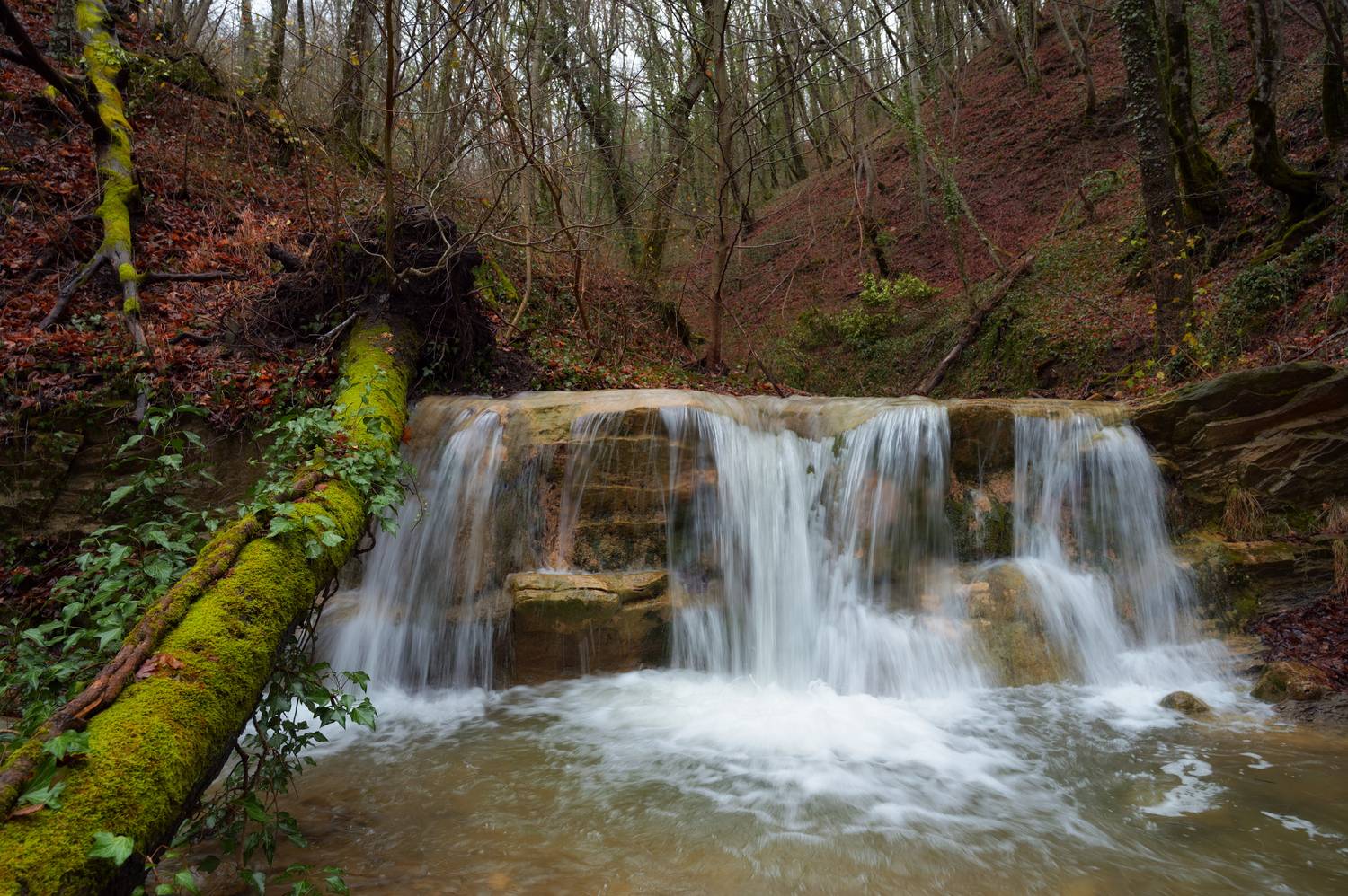 , Сергей Тихомиров