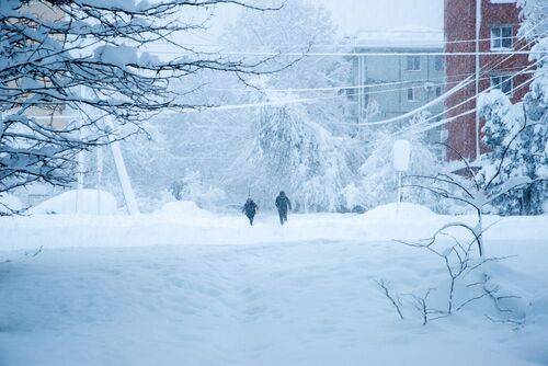 Снегопад в городе