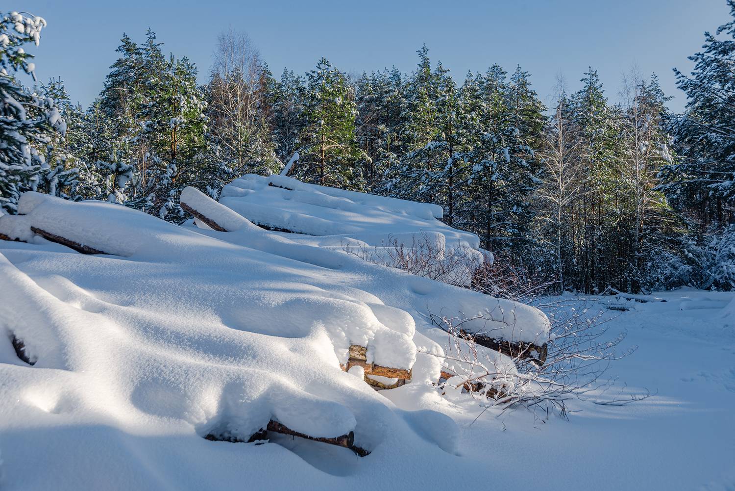 , Владимир Ноздрачев