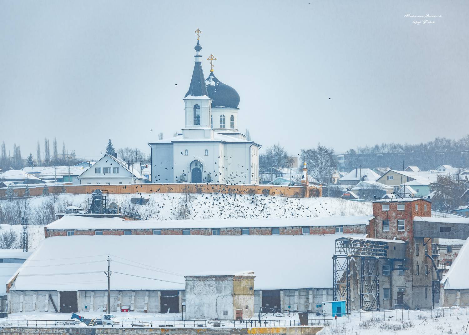 , Никитин Алексей