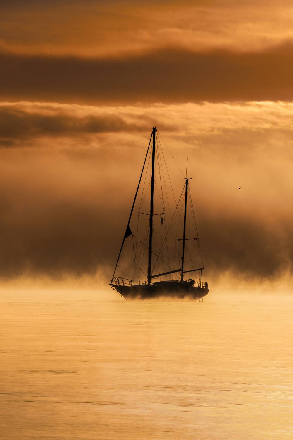 , Кривцов Андрей