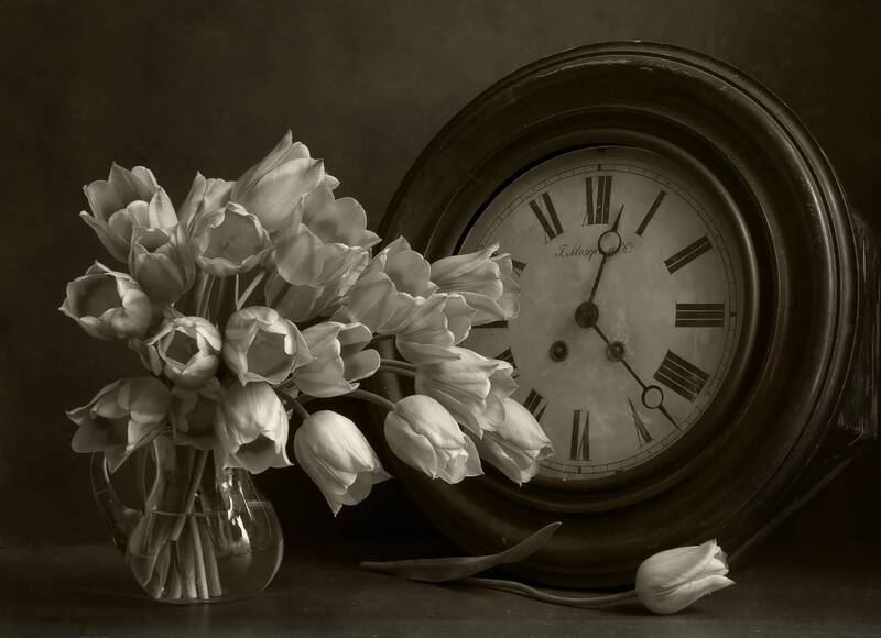 тюльпаны, часы, цветв\\\\\\\\ы, время Время тюльпанов. фото превью