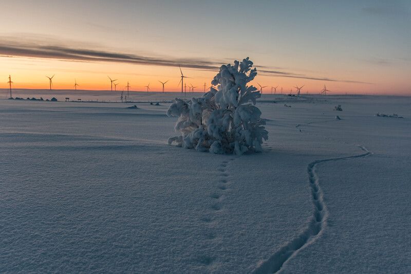 Рассвет в тундре фото превью