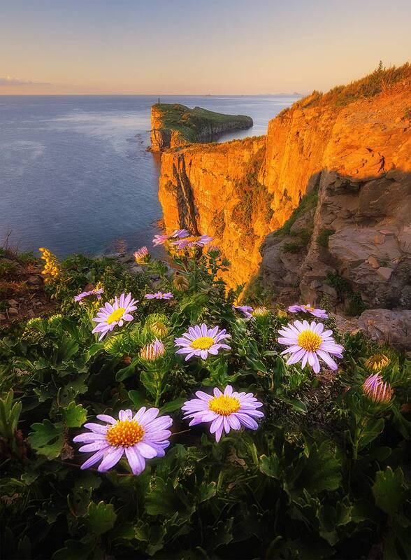 Приморье фото превью