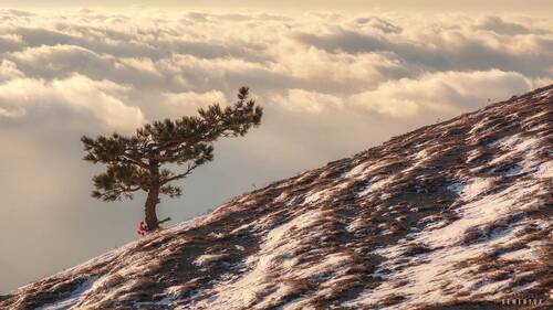 Утро над облаками