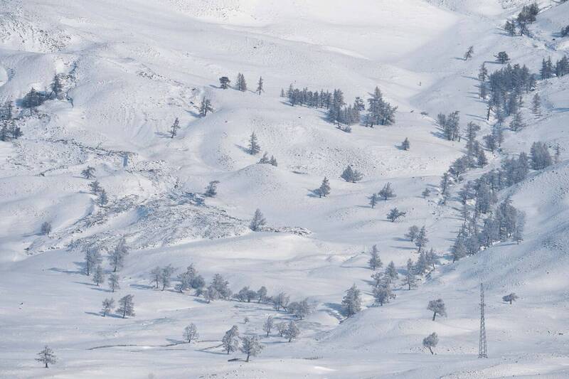 Звенящая морозная тишина… Ringing frosty silence... фото превью