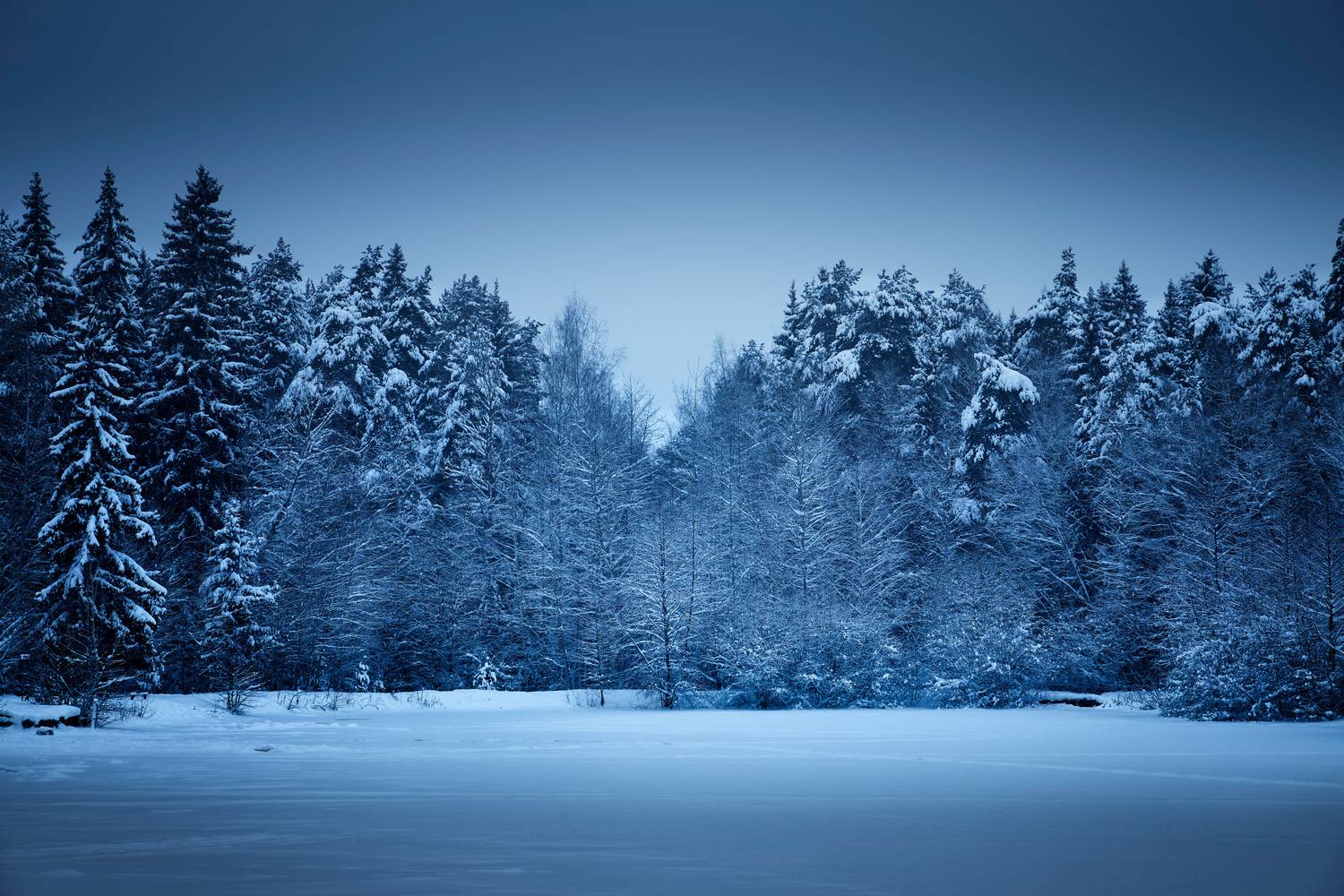 зима, снег, Валерий Вождаев