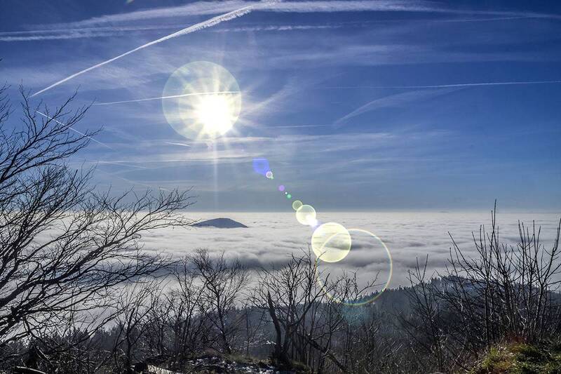 Туман, Nebel фото превью
